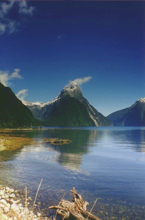 New Zealand 6